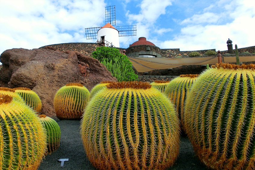 Canary Islands Cruises